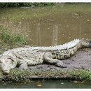 복수농장 이미지