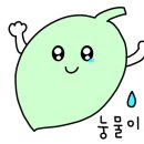 공릉동멸치국수별내 이미지