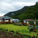 코리농장 이미지