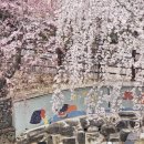 푸른빨래터 이미지