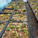 금밭 농장 이미지