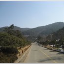 청원스크랩 이미지