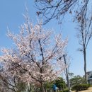 성남종합운동장 하키장 이미지