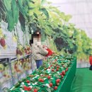 육사농장 이미지