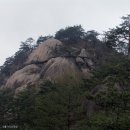새빛농원 - 1579 | 새빛농원