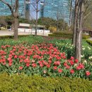 남정약국 이미지