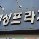 셀리나센트 네이버블로그