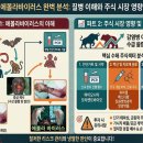 "설마 국내까지?" 미국 의사 사망 WHO 비상상태 선포 에볼라바이러스 증상부터 테마주 수혜 섹터