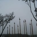 황가네식당 이미지