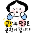 펫살롱 꽃단장 이미지