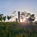 하양생활체육공원 이미지