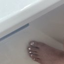 머시기쪽갈비생족발구이