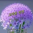 인연 이미지