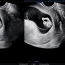 전한나산부인과의원 이미지