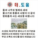 미림사 이미지
