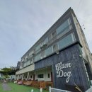 글램독 영흥도 이미지