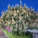 송화체육관 이미지