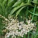 홍예민박 이미지