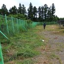 가시리 태양광발전소 네이버블로그