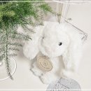 노블 소프트 이미지