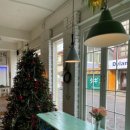 카페오아세 이미지