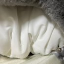 두나펫 코리아 | 자동차 못 타는 강아지 주목! 펫테일 PET TAIL 드라이빙킷 카시트 내돈내산 후기 :)