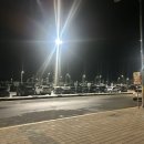 바둑여객 | 울릉도여행 ➰ 울릉크루즈 탑승후기 / 포항에서 울릉도, 울릉도에서 포항 , 울릉크루즈 부속시설 차량...