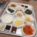 마산회원구 ⓕ-11 | 마산 맛집 회식 숯불장어구이 맛집 장덕풍천장어 후기