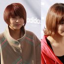 옐로우아웃헤어 이미지