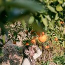 위미스테이 이미지