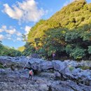 구름다리 이미지