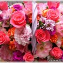 홀트대구종합사회복지관 이미지