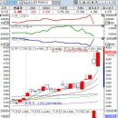 성지약품(주) 이미지