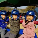 용인대통일태권도 이미지