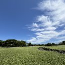 하늘휴양마을 이미지