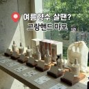 온달멀티카서비스 | [홍대] 여름향수 살땐? '그랑핸드 마포' 멀티퍼퓸 마린 오키드 구매 실내데이트 추천
