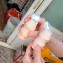 훈이시락국 이미지