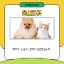 (단기)반려동물 펫시터(자격증) 이미지