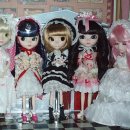 아젤리아 이미지