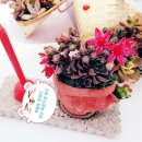 세라믹아트 이미지