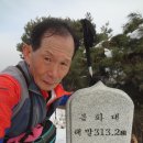 옥룡동 주민센터 Daum카페