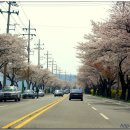 강변로 이미지