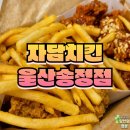 자담 치킨 울산 송정점 프라이드 양념 반반 치킨 포장 식사 후기