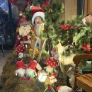 분당-379 | 분당 대방어 맛집 야탑 "두툼해" 내돈내산 방문후기 (예약필수)