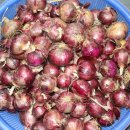 서산건강원