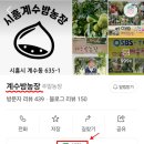 두성농장 | 서울근교 시흥 계수 밤농장 : 밤줍기 체험