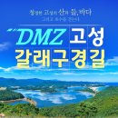 건봉사샘터 | 강원도 고성여행, 고성의 9가지 색깔 DMZ 고성 갈래구경길