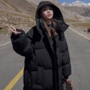 핏투니스 이미지