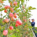 김종후농장 이미지