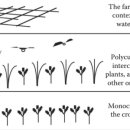 태학농장 이미지